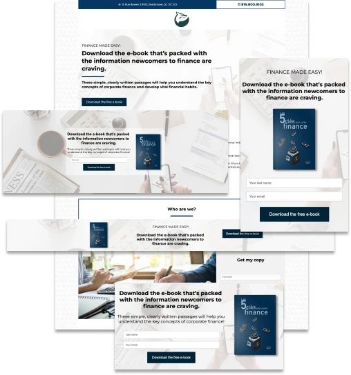 Campaign for newcomers: landing pages offering a free finance e-book